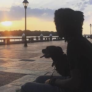 Meet your Posher, Marvin